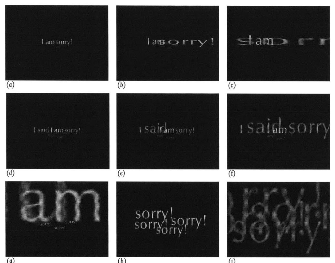 Imagen de Expressive Typography